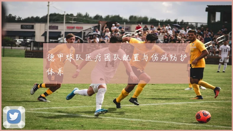 德甲球队医疗团队配置与伤病防护体系