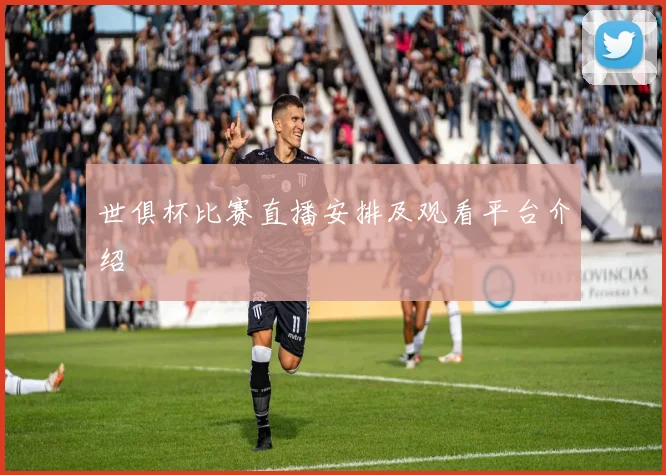 世俱杯比赛直播安排及观看平台介绍