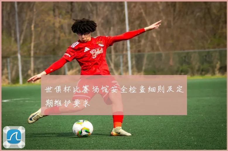 世俱杯比赛场馆安全检查细则及定期维护要求