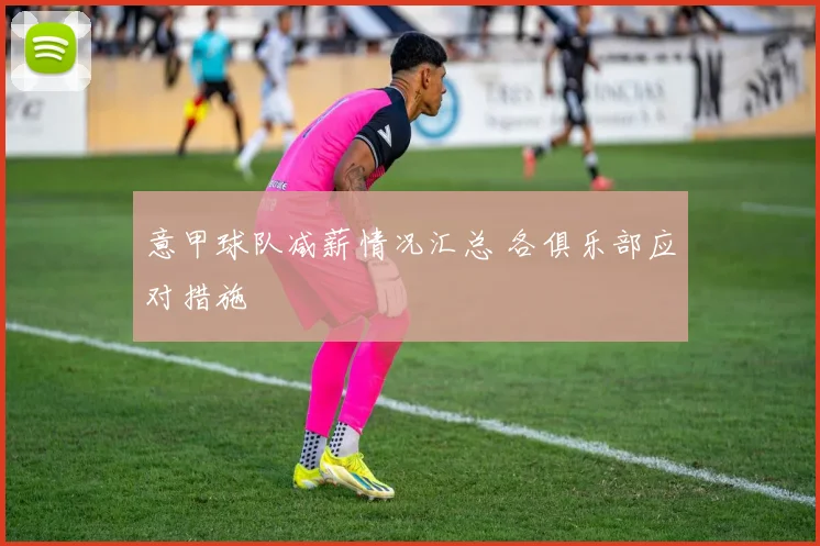 意甲球队减薪情况汇总 各俱乐部应对措施