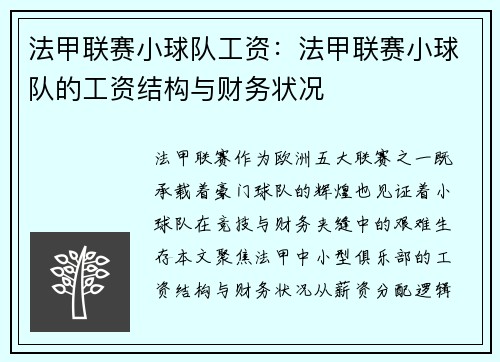 法甲联赛小球队工资：法甲联赛小球队的工资结构与财务状况