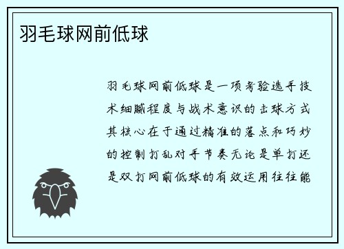 羽毛球网前低球